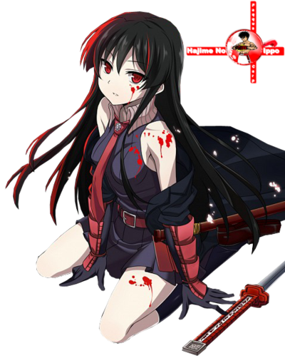 [render] Akame By Faqquscarp - Akame Ga Kill Akame Png (400x502)