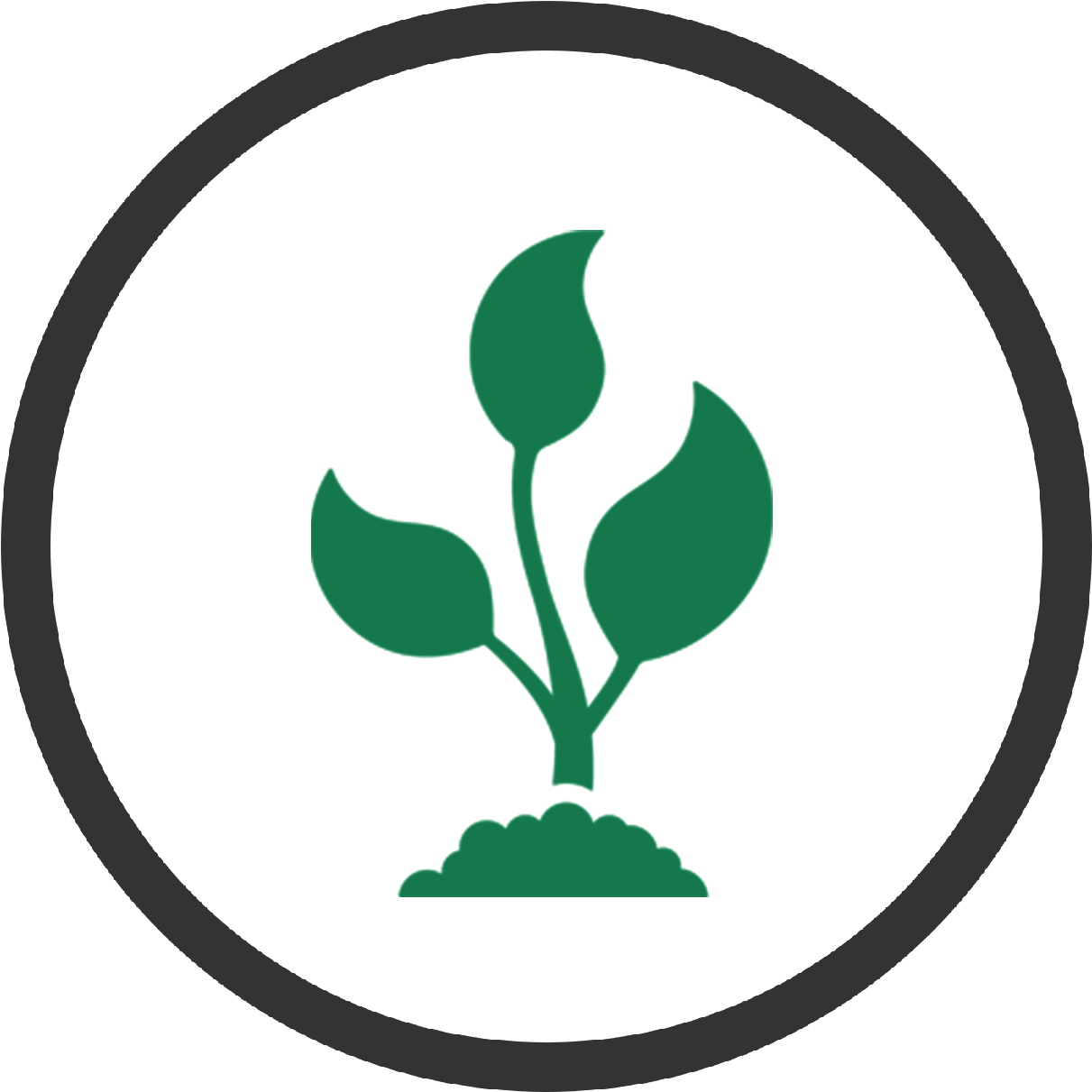 Plants Clipart Jowar - Emblem (1600x1600)