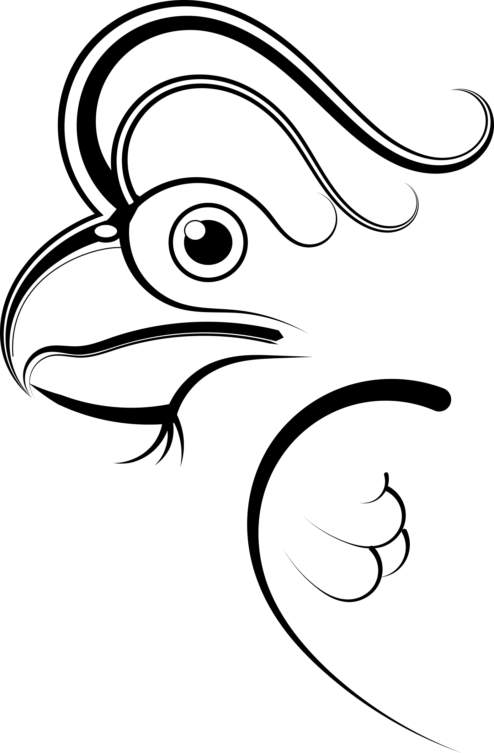 Big Image - Chicken (1575x2400)