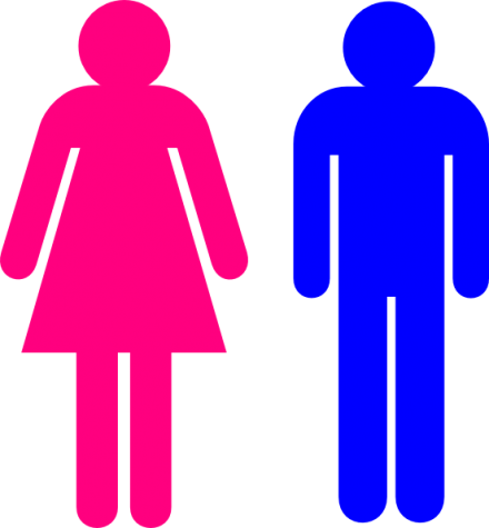 Symbol Male And Female Clip Art At Clker - Male And Female Symbol (440x475)