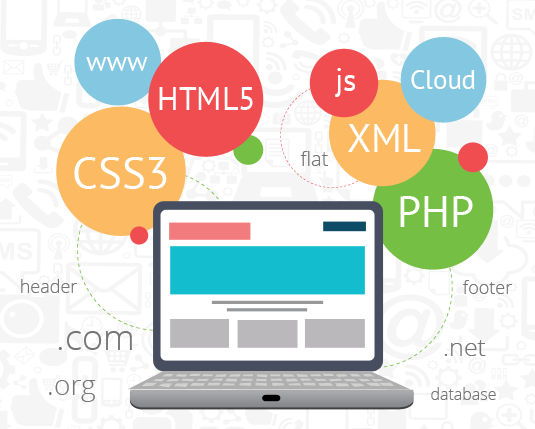 Software Development - Web Development Roadmap For Beginners (535x429)