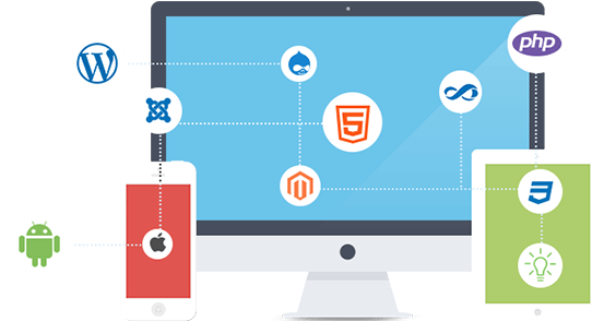 Website Development Company India - Website Development (555x306)