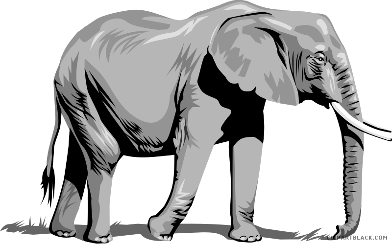 Elephant High Quality Animal Free Black White Clipart - Elephant Png Clipart (800x499)