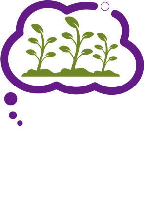 Food Scraps - Ideas For People To Donate (300x430)