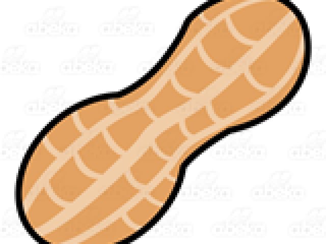 Nut Clipart - Nut Clipart (640x480)