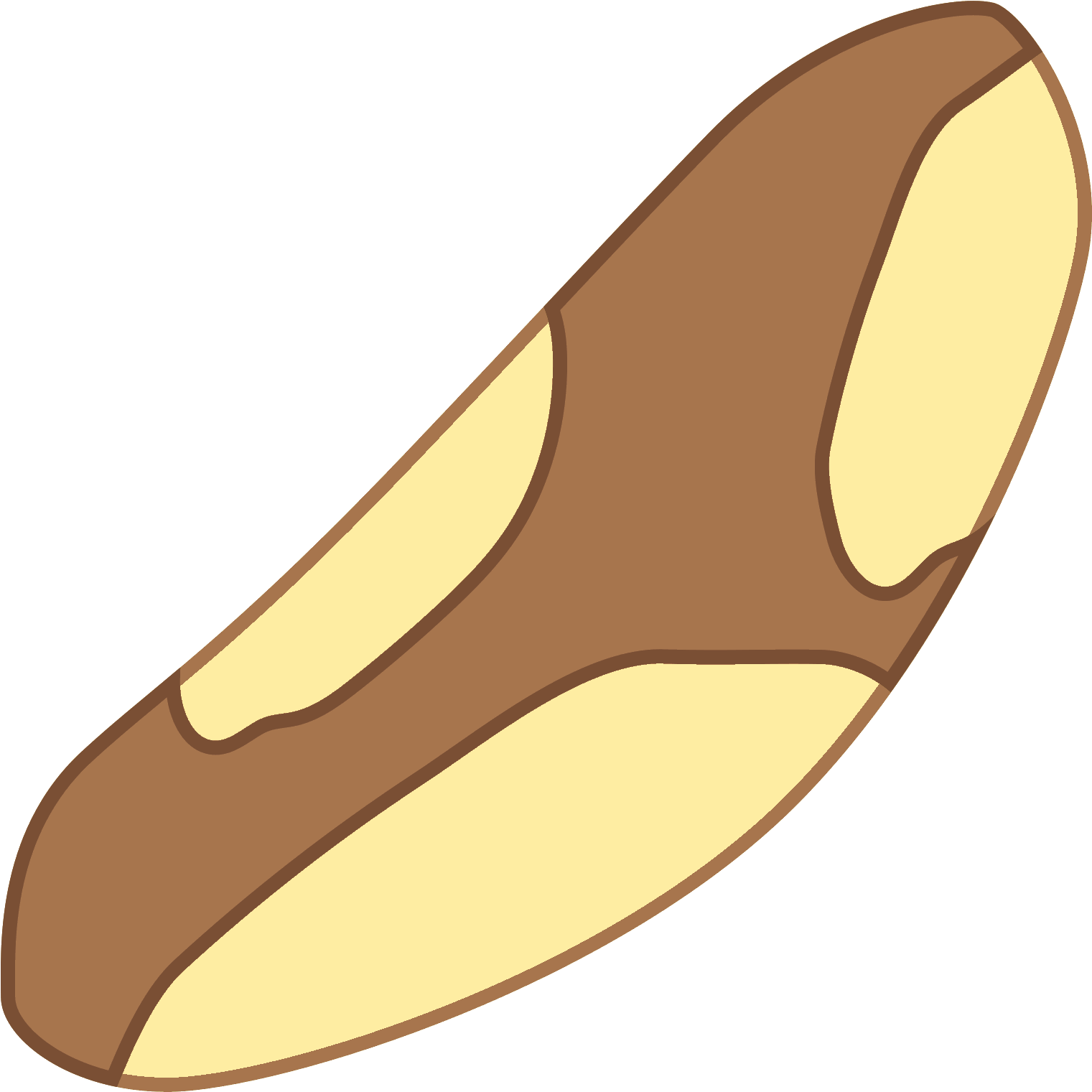 Brazil Nut Icon - Icon (1600x1600)
