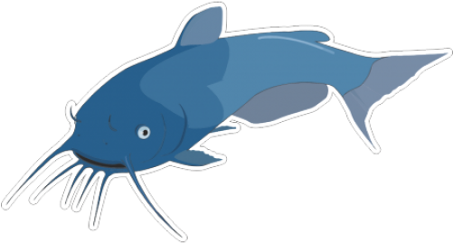 Cartoon Drawing Catfish Clip Art - Fish (500x500)