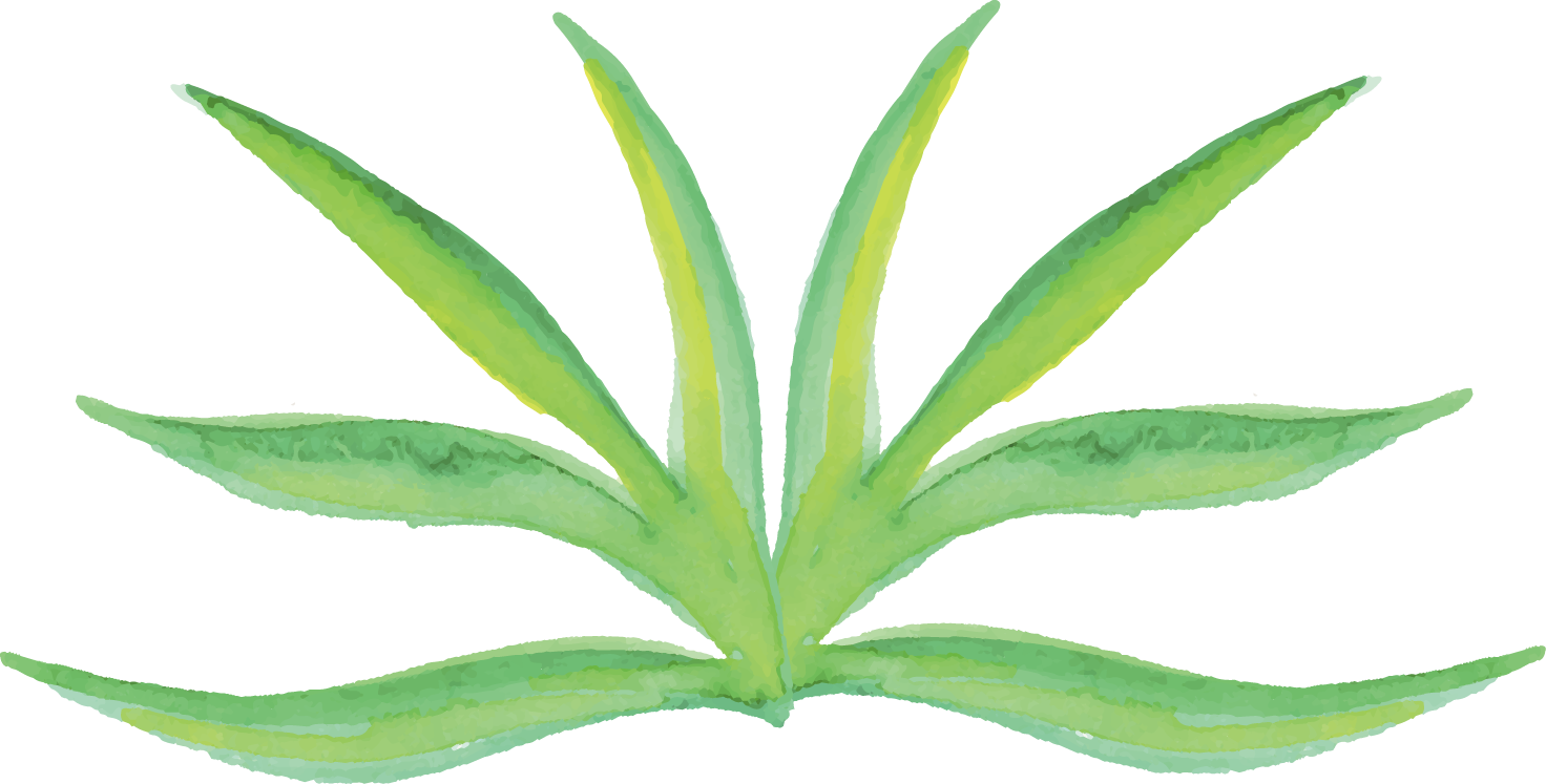 Creative Watercolor Watercolor - Watercolor Painting (1472x747)