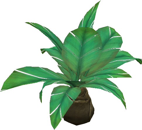 Jungle Palmetto - Houseplant (512x512)