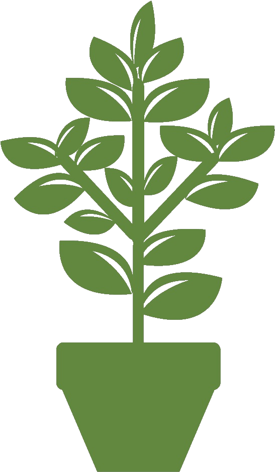 Healthier Indoor Plants - Plants (577x957)