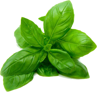 Basil Leaves - Basil Leaves (400x378)