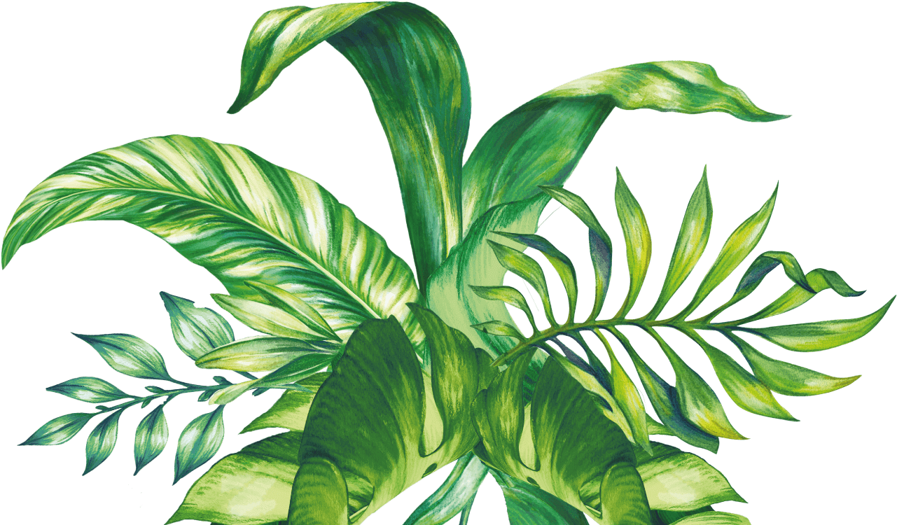 Pretty Leaves - Pretty Leaves (1300x770)