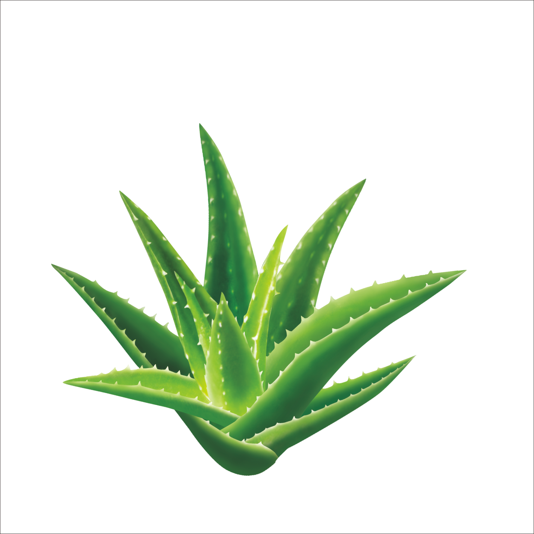 Aloe Vera Aloin Seed Gel Extract - Music Flowerpot,smart Plant Pots,touch Music Plant (1773x1773)