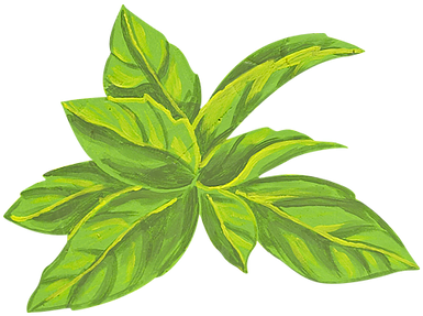 He Receives More Money For His Organic Rice And Lives - Alter Eco Organic Dark Chocolate, Mint - 2.82 Oz Bar (404x305)