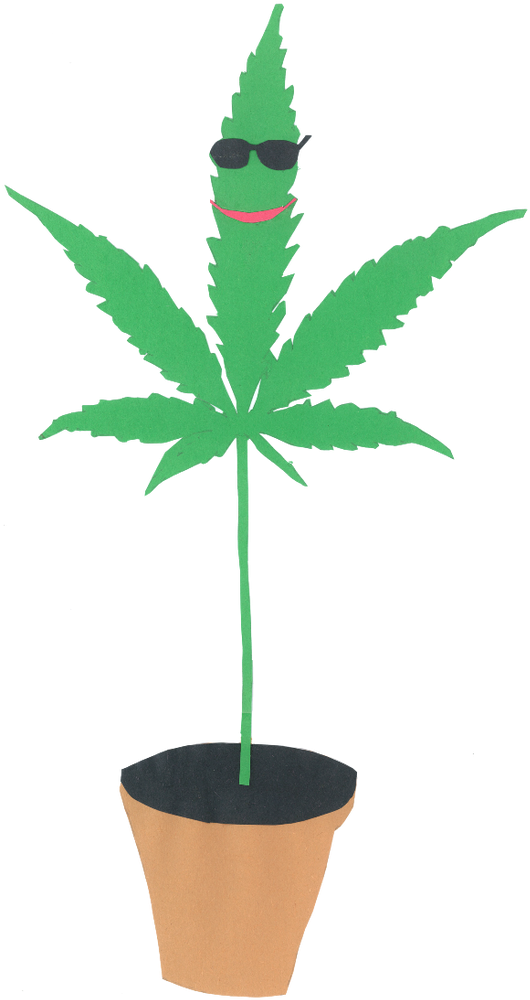 Picture - Dont Do Drugs Poster (577x1034)