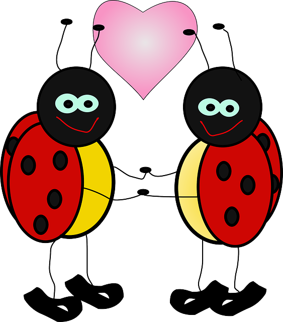 Ladybugs, Heart, Love, Bugs, Cute, Insect, Valentine - Animated Clip Art (563x640)