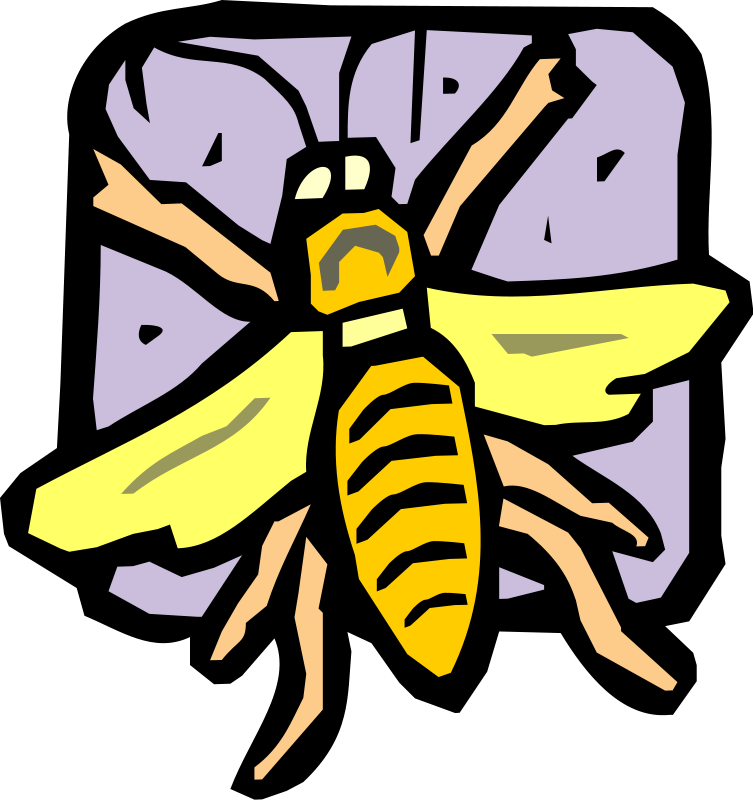 Free Vector Insect - Bees (753x800)