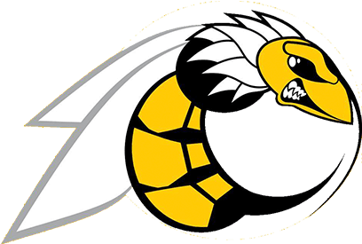Charlotte Hornets American Football Agromave - Sorriso Hornets (500x500)