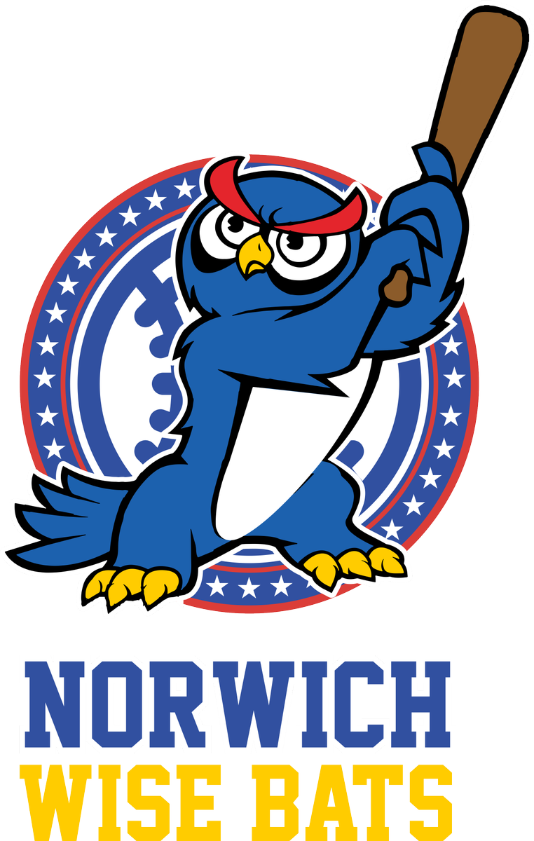 0 Replies 0 Retweets 0 Likes - Suck For Luck Dolphins (762x1200)