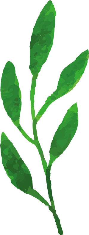 Watercolor Painting Oil Painting - Cenefa Floral Cef005 | Vinilosdecorativos.com (800x800)