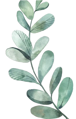 Kisspng Leaf Drawing Watercolor Painting Illustration - Eucalyptus Leaves Clip Art (400x400)