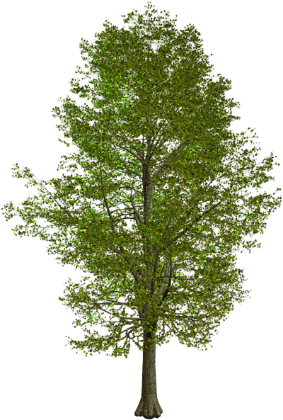 Villa Clip Art Portable Network Graphics House Image - Tilia Png (425x600)