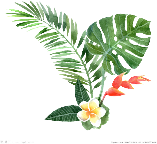 Watercolor Painting Drawing Plant Illustration - Tropical Plant Clip Art (658x658)