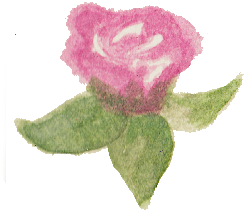 Watercolour Flowers Garden Roses Watercolor Painting - Garden Roses (1000x1000)