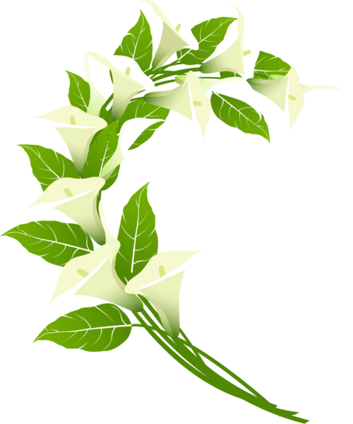 Yükle Category - Phonograph Record (500x600)