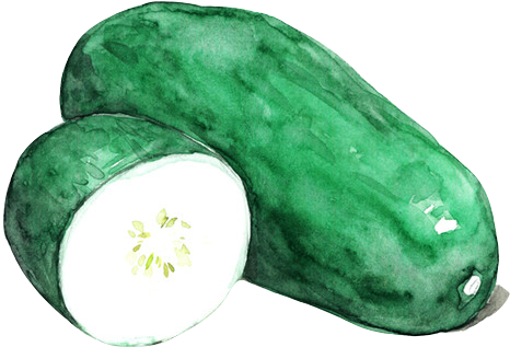 Kisspng Vegetable Watercolor Painting Wax Gourd Vegetarian - Cucumber With Watercolor (500x500)