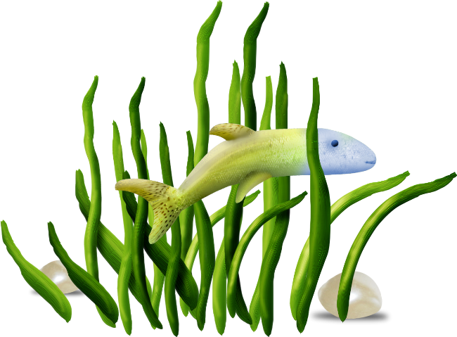 Watercolor Painting Clip Art - Eel (650x479)