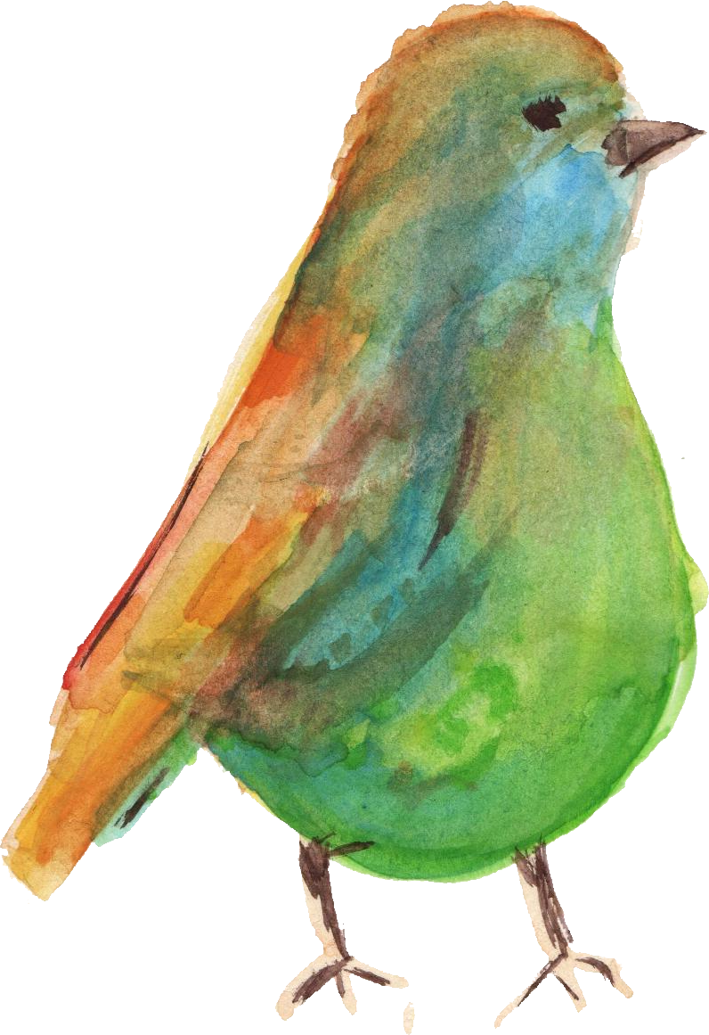 Free Download - Watercolor Animal Clear Png (796x1161)