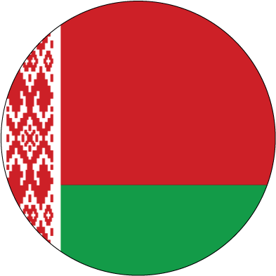 Ima Abacus Mental Arithmetic, Kids Learning, Children - National Flag Of Belarus (400x400)
