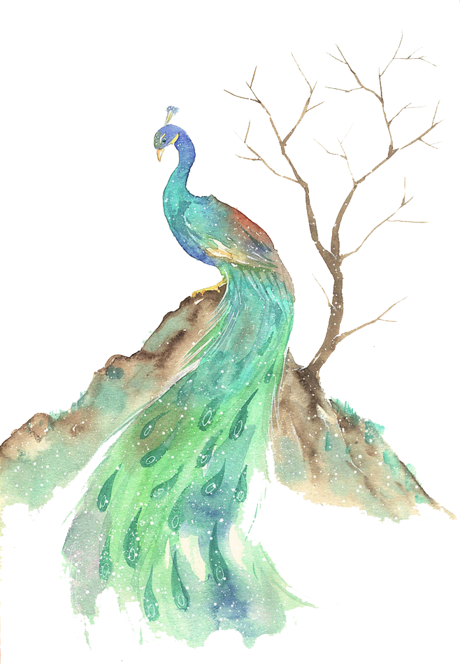 Bird Watercolor Painting Illustration - Water Color Peacocks Png (658x949)