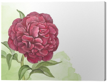Watercolor Background With Illustration Of Peony Flower - Gigant.pl Torebka Upominkowa Kr 1424 M (400x400)