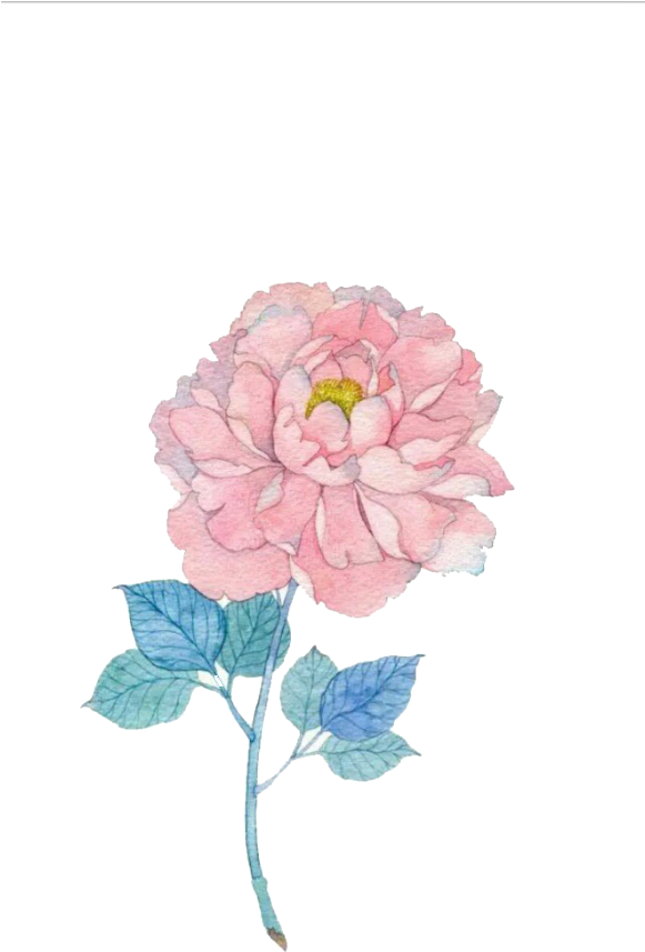 Common Sunflower Watercolor Painting Illustration - Flower (580x1030)