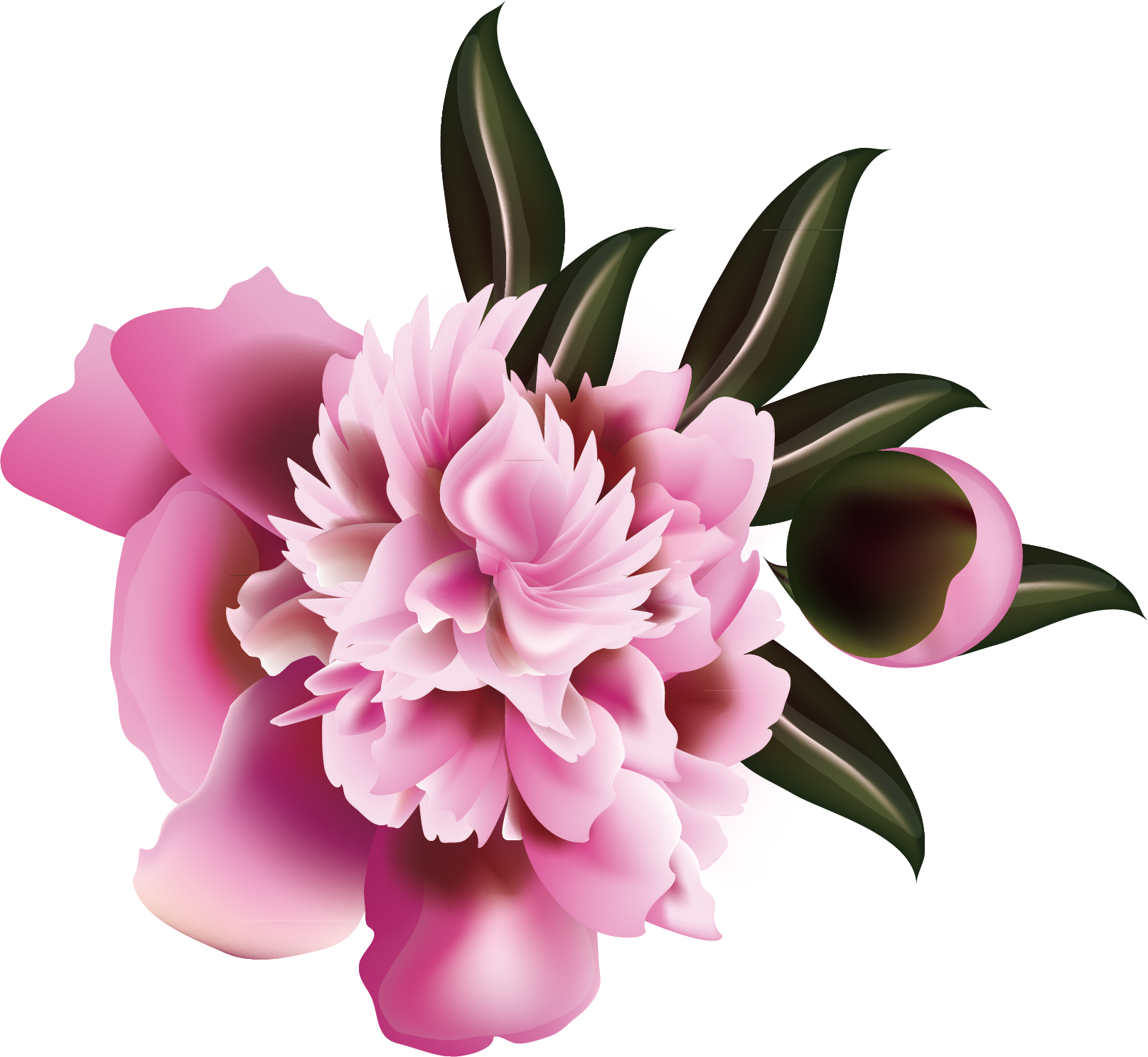 Floral Design Flower Illustration - Flower (1615x1487)