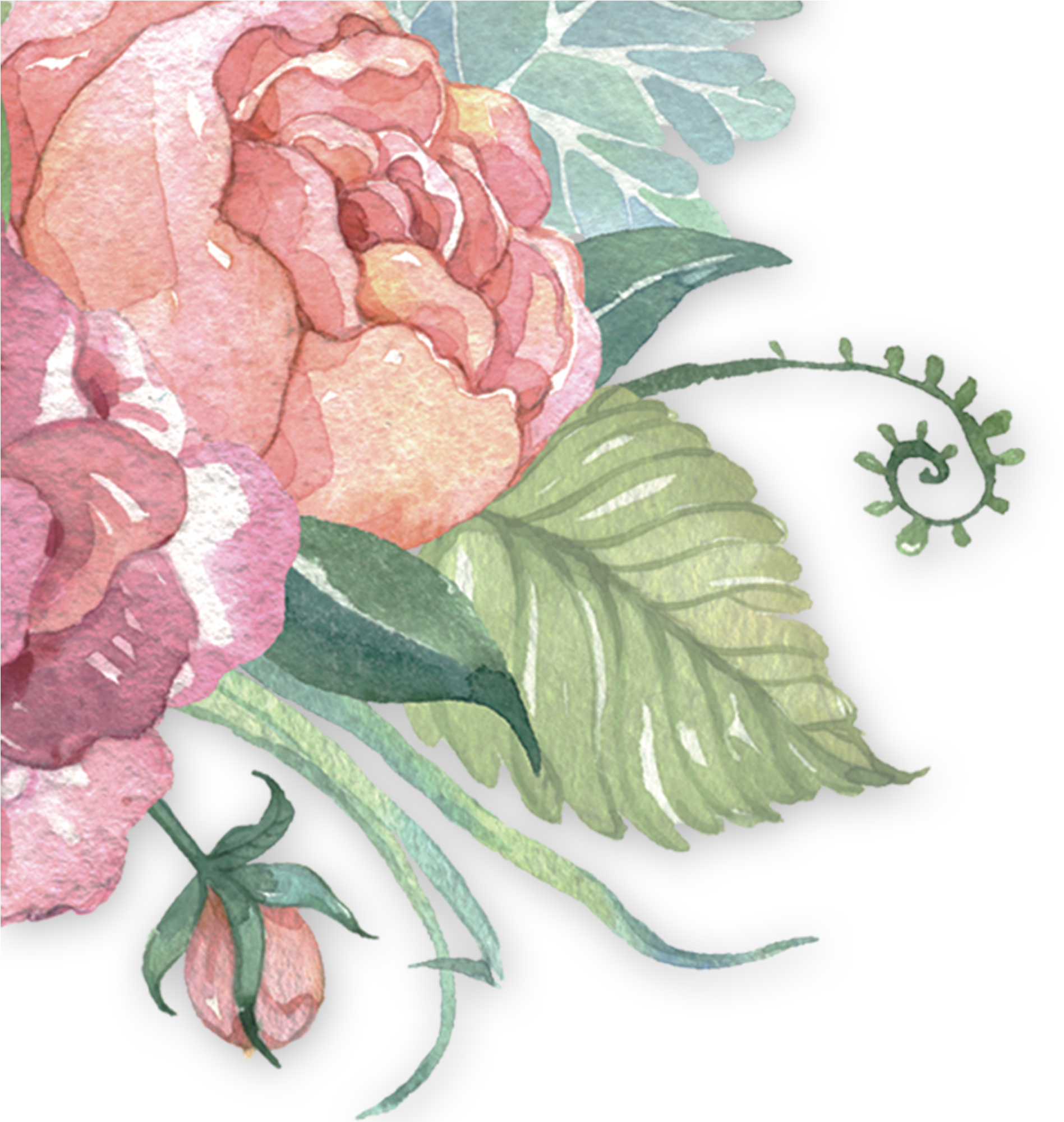 Pastel Flowers 2000*2000 Transprent Png Free Download - Pastel Pink Flower Png (2000x2000)