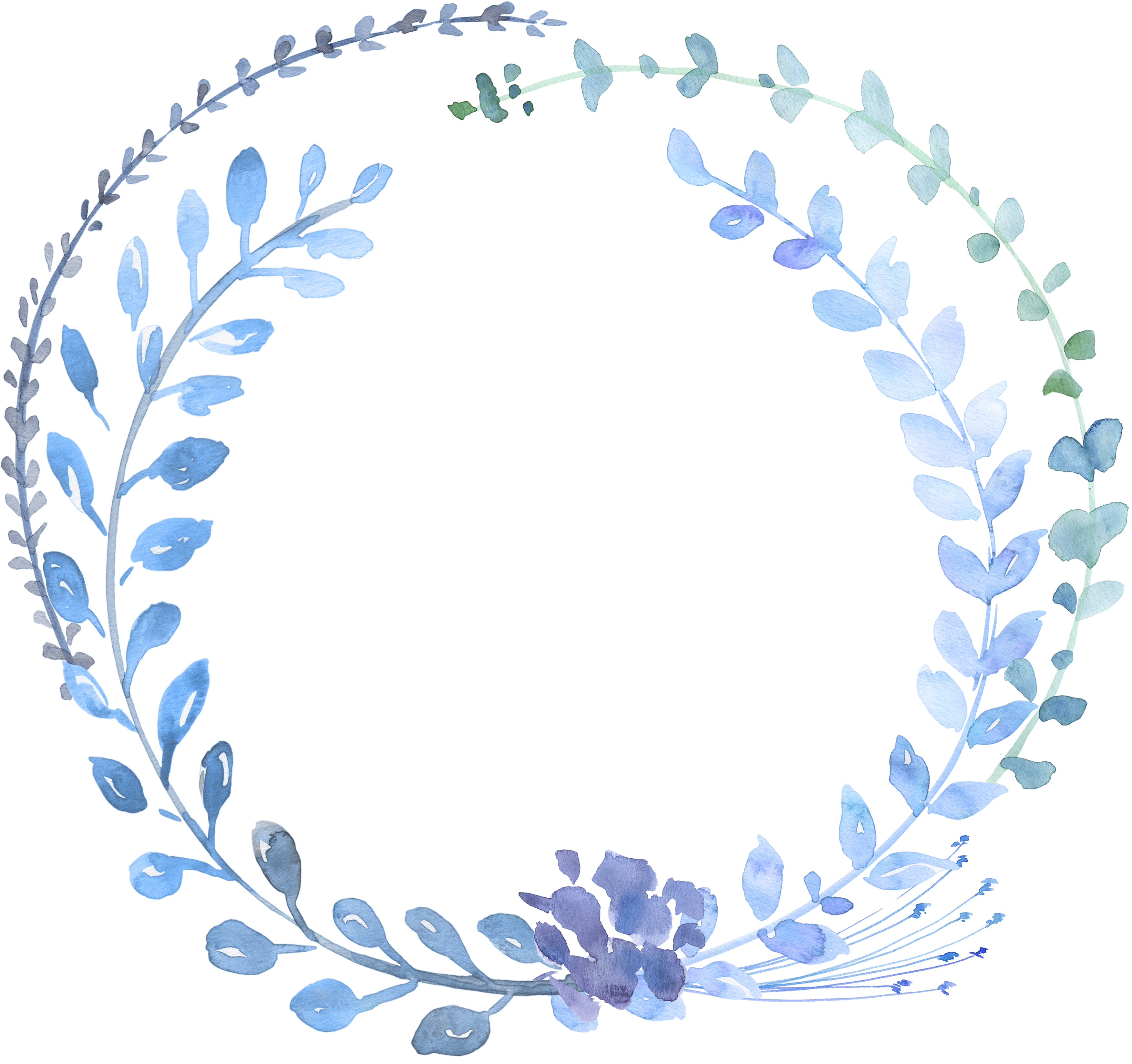Watercolour Flowers Watercolor Painting Wreath Blue - Watercolour Clipart (3543x3326)