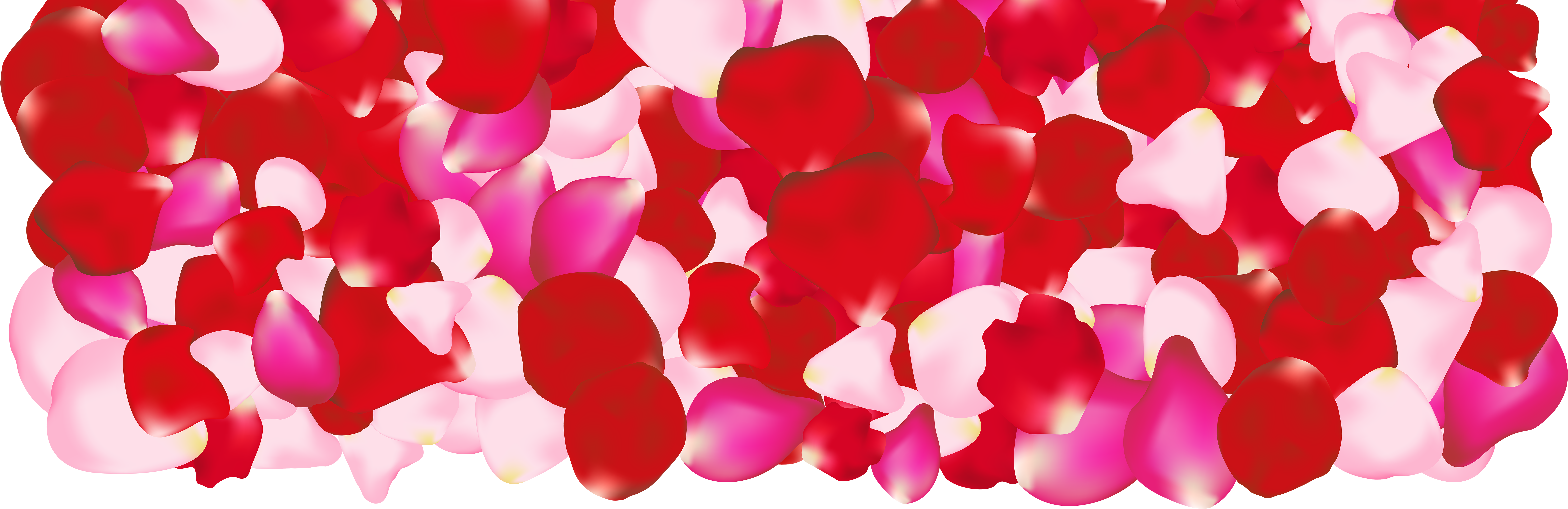 Decorative Rose Petals Rose Petals Decoration Clip - Clip Art (8000x2679)