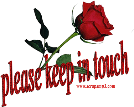 Please Keep In Touch Red Rose - Please Keep In Touch (493x421)