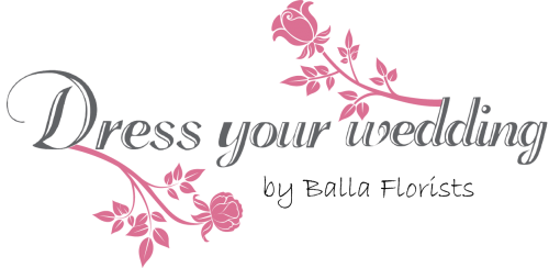 Manifest Your Dreams By Toni Brody (500x244)