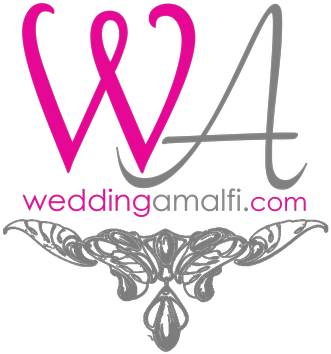 Wedding Amalfi - They Whine I Wine Throw Blanket (535x535)