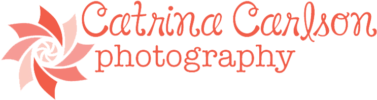 Catrina Carlson Photography - Itty Bitty Princess Ornament (round) (792x259)