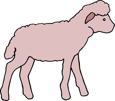 Pink, Lamb, Animal, Fluffy - Pink Lamb (387x340)