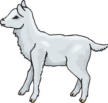 Gray Standing Lamb Animal Fluffy Lamb Lamb - Clipart Lamb (358x340)