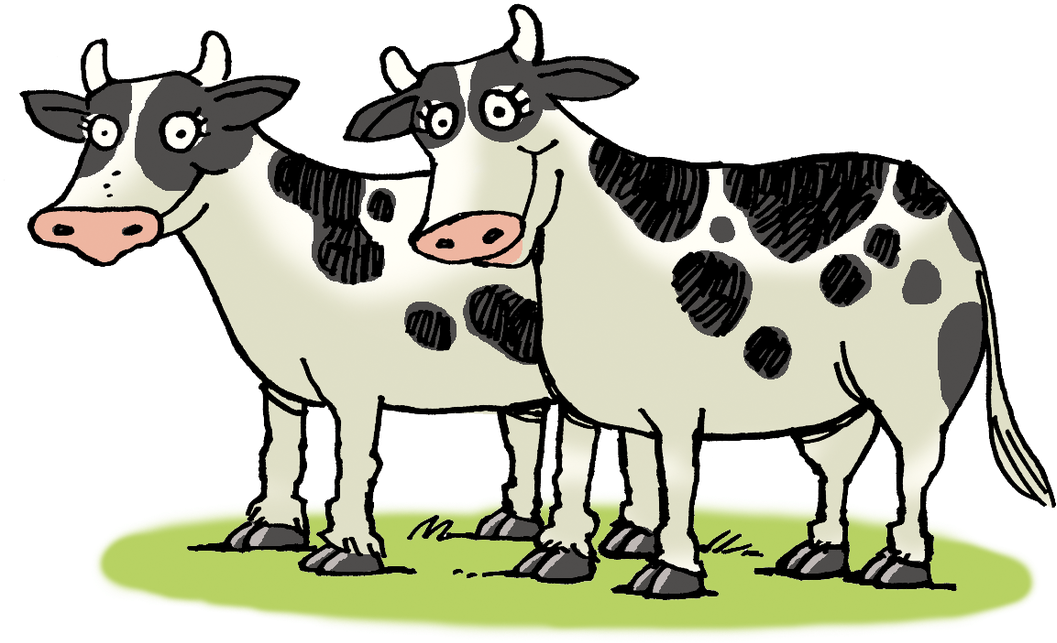 Dairy Cattle Ox You Have Two Cows Clip Art - 2 Cows Clipart (1100x704)