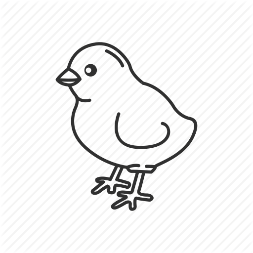 792625 Bird - Bird (512x512)