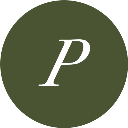 Icon P - 120 (500x500)