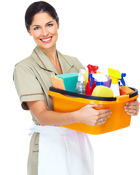 Everyone Wants To Come Home To A Perfectly Clean House, - Us Polo T Shirt Small (500x600)